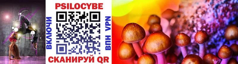 Купить где  Новосибирск  Псилоцибиновые грибы GOLDEN TEACHER 